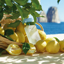 Dolce & Gabbana Light Blue EDT 100ML Woman-3