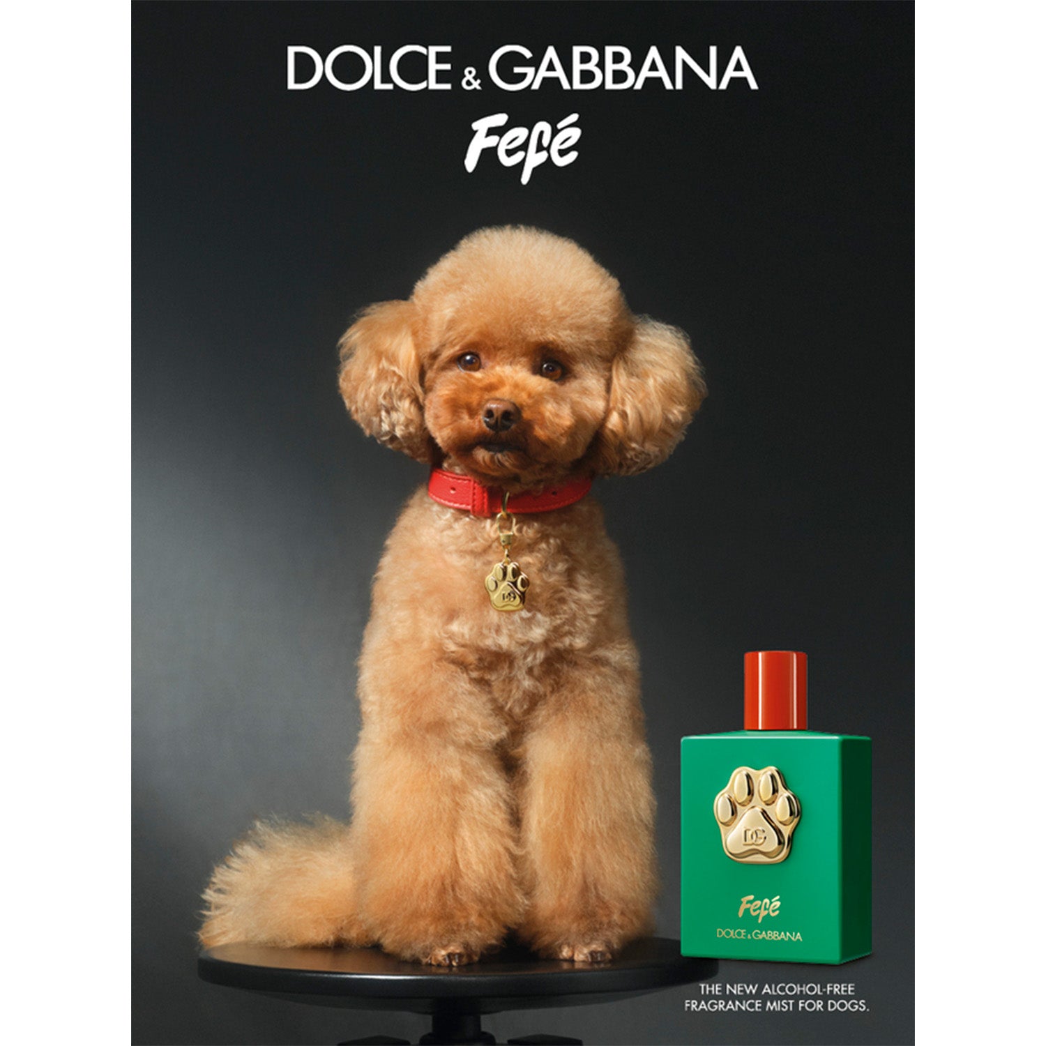 Perfume Fefé para Perros Libre de Alcohol 100ML EDP